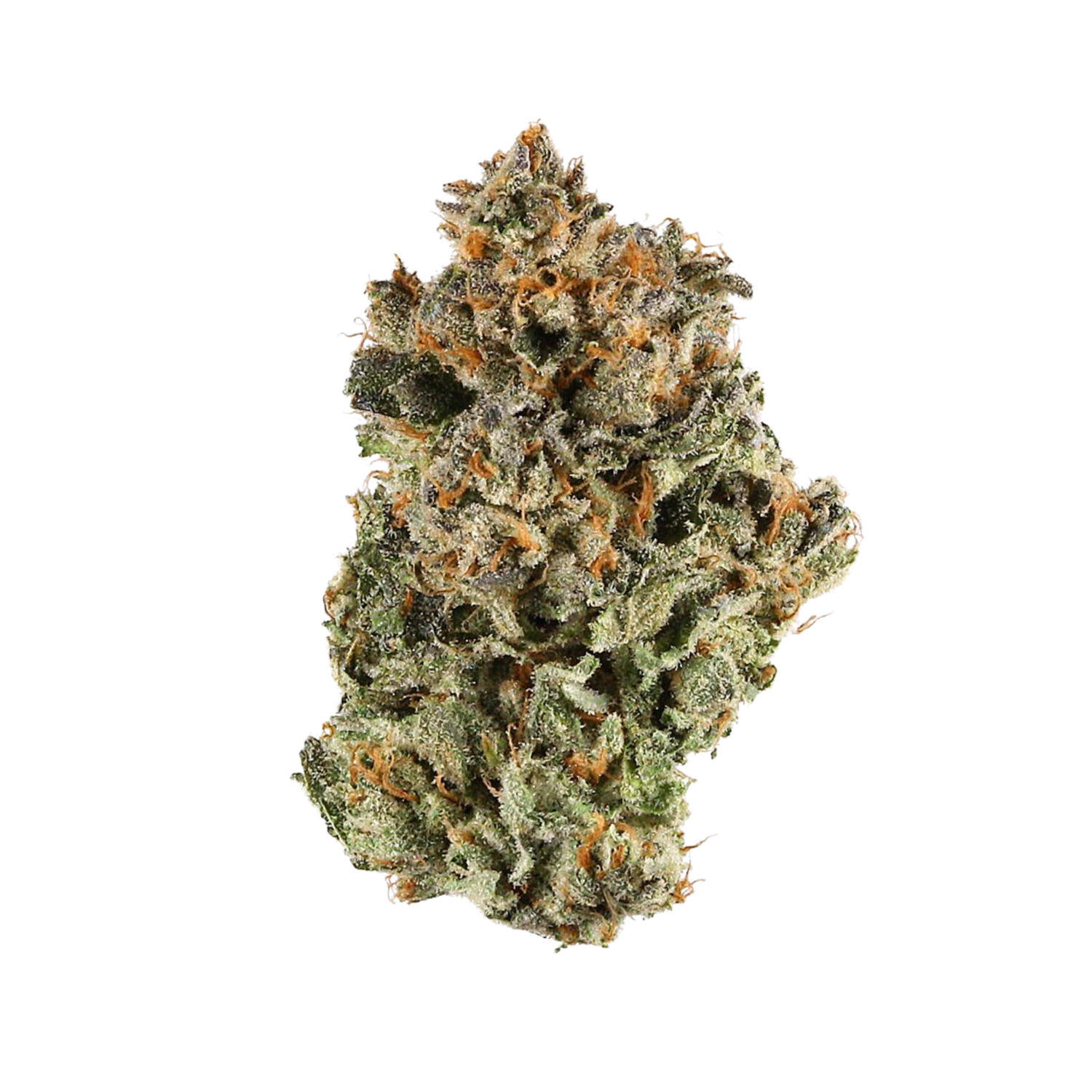 Zaza Flower - Northern Lights - Indica