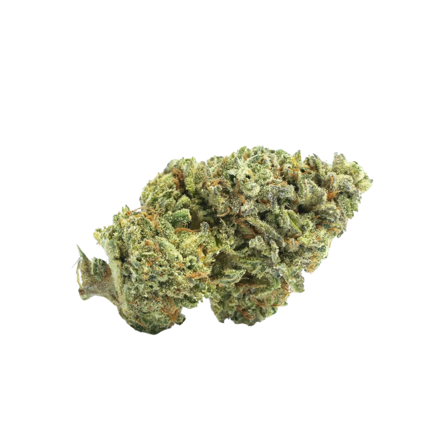 Zaza Flower - Biscotti - Indica