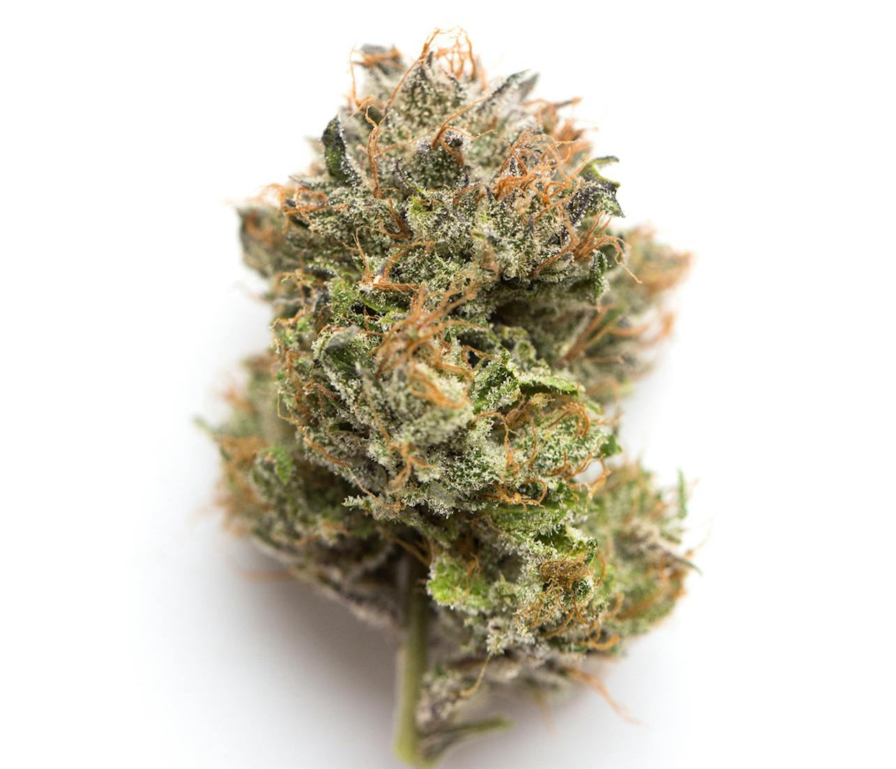 Zaza Flower - Slymer – Sativa