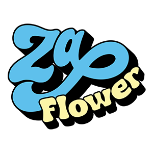 Zaza Fun