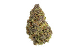Zaza Flower - Jungle Cake - Hybrid