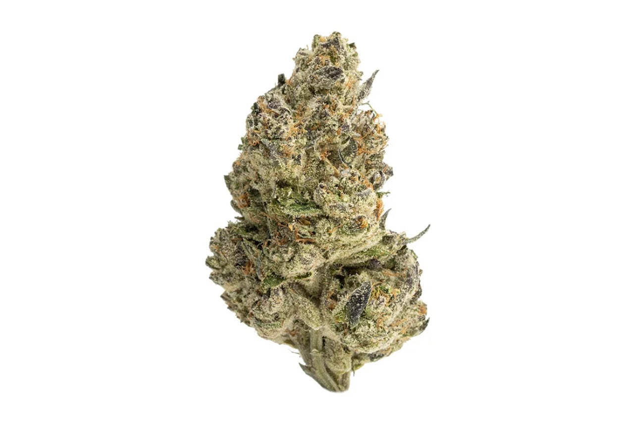 Zaza Flower - Frosted Pops - Hybrid