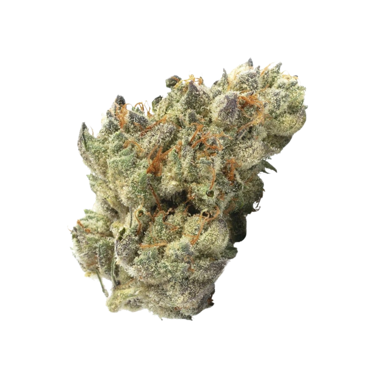 Zaza Flower - Elektra Ice - Hybrid